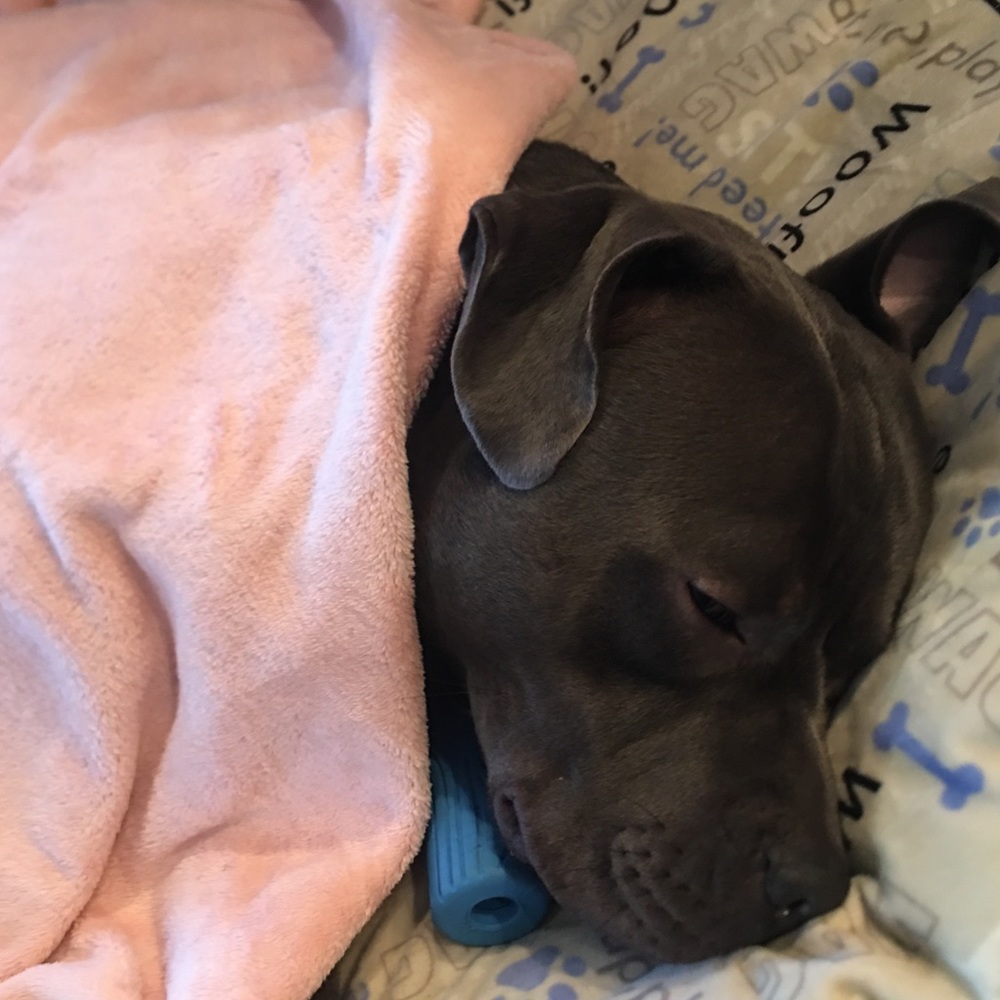 Meet your Posher, Adrianne